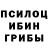 Псилоцибиновые грибы ЛСД Dio zando