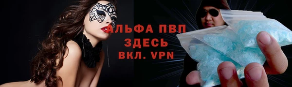 сатива Абаза