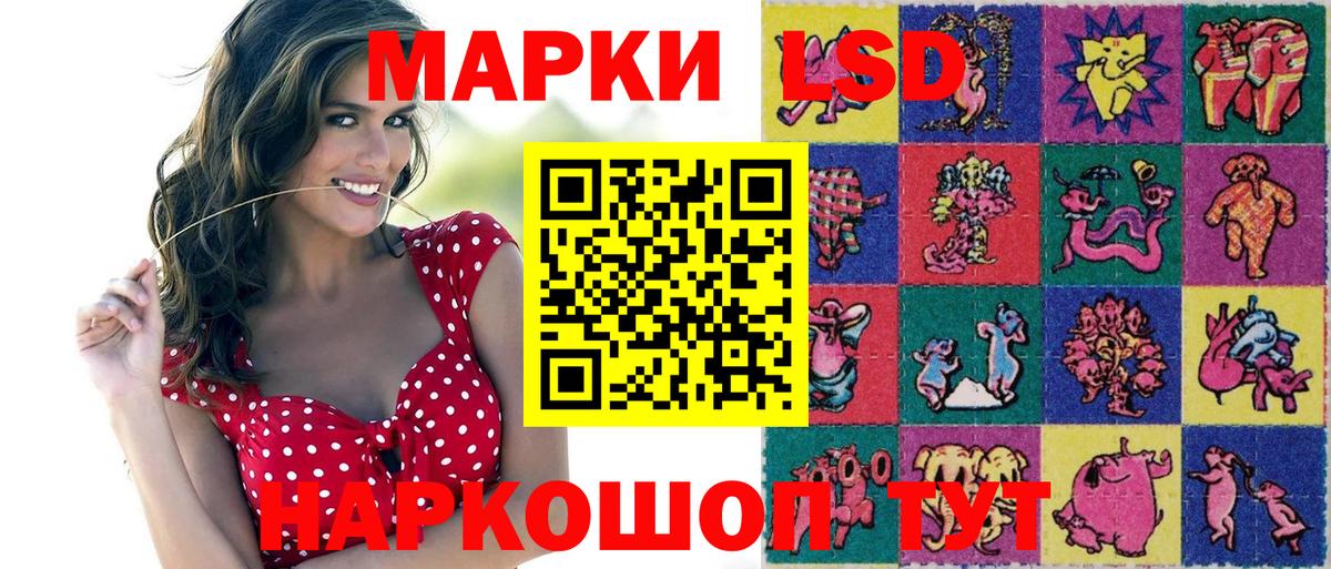 Гашиш  Экстази  МЕФ кристаллы  Alpha-PVP СК   Метадон  Сухой Лог  Марихуана  Каннабис  Вход с VPN 