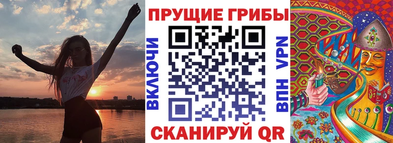 darknet как зайти  блэк спрут онион  Сухой Лог  Галлюциногенные грибы мухоморы 