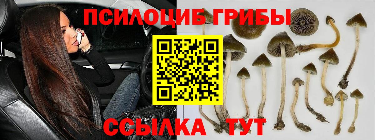 Сухой Лог  наркота  Вход с VPN  Галлюциногенные грибы мухоморы 